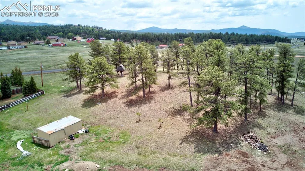 13599 County Road 1 Florissant, CO 80816