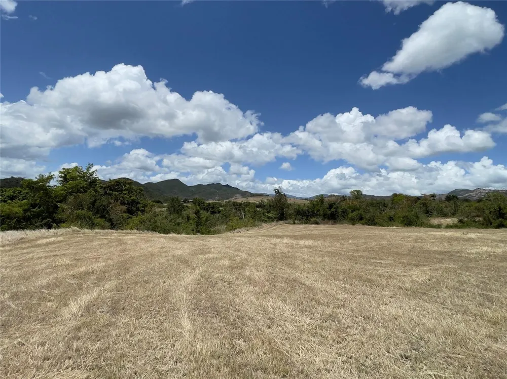 14 LOS LLANOS WARD Coamo, PR 00769