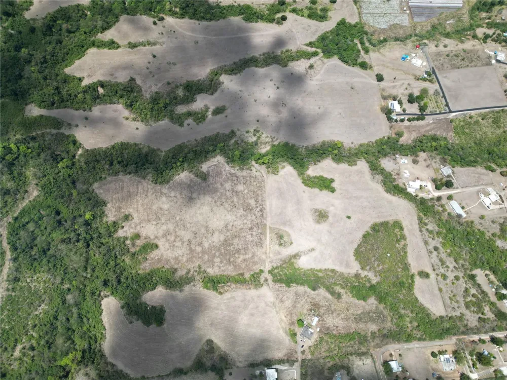 14 LOS LLANOS WARD Coamo, PR 00769