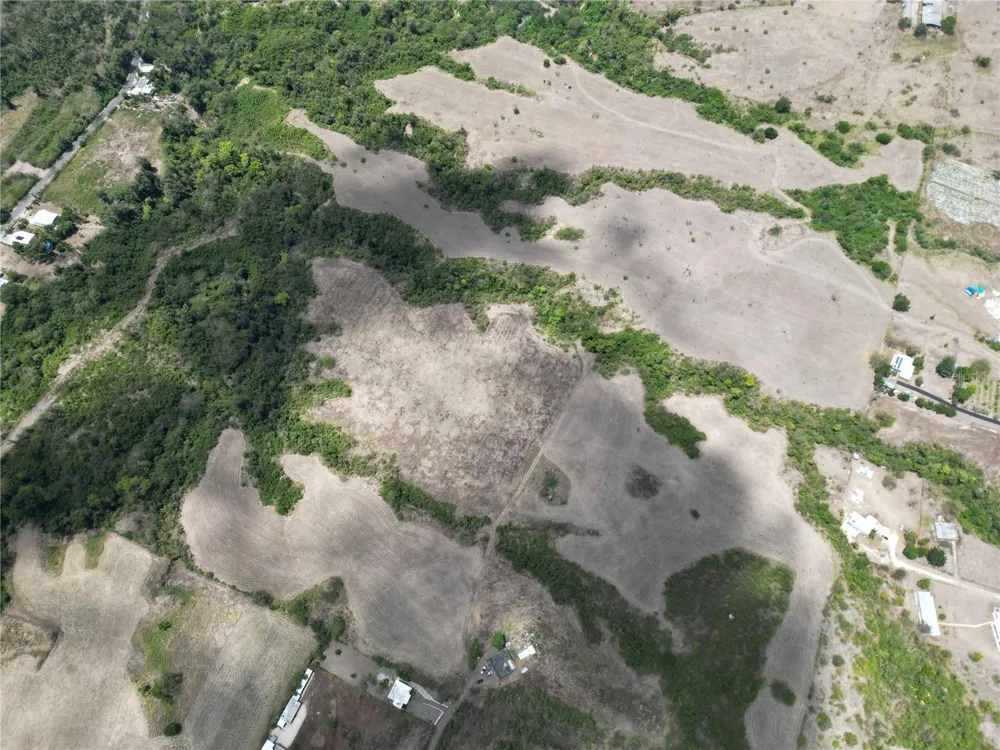 14 LOS LLANOS WARD Coamo, PR 00769