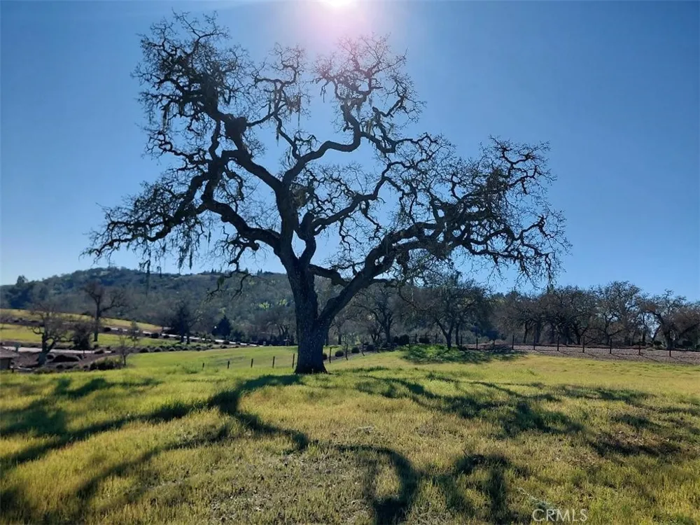 1920 Fire Rock Loop Templeton, CA 93465
