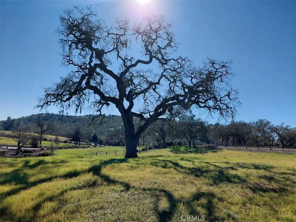 1920 Fire Rock Loop Templeton, CA 93465