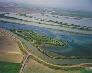 Halls Island Walnut Grove, CA 95690