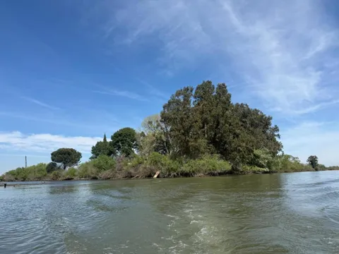 Halls Island
