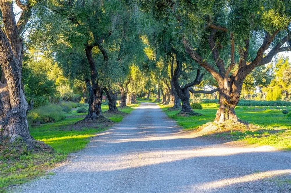 2480 Roblar Avenue Los Olivos, CA 93441