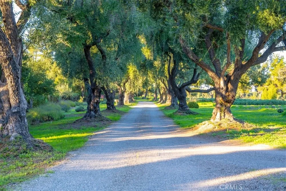 2480 Roblar Avenue Los Olivos, CA 93441