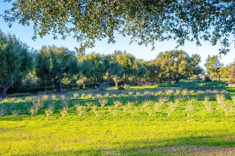 2480 Roblar Avenue Los Olivos, CA 93441