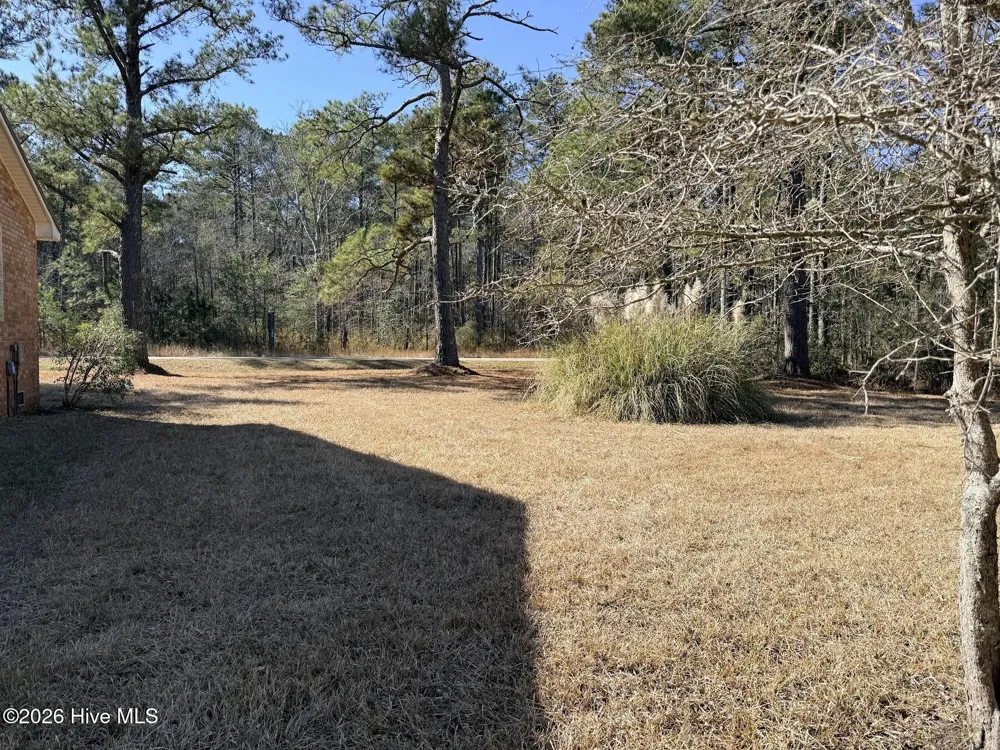19 Wilkins Road Belhaven, NC 27810