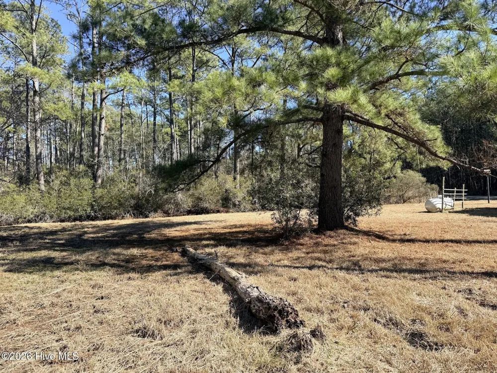 19 Wilkins Road Belhaven, NC 27810