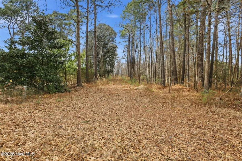 00 E Fayetteville Street Micro, NC 27555