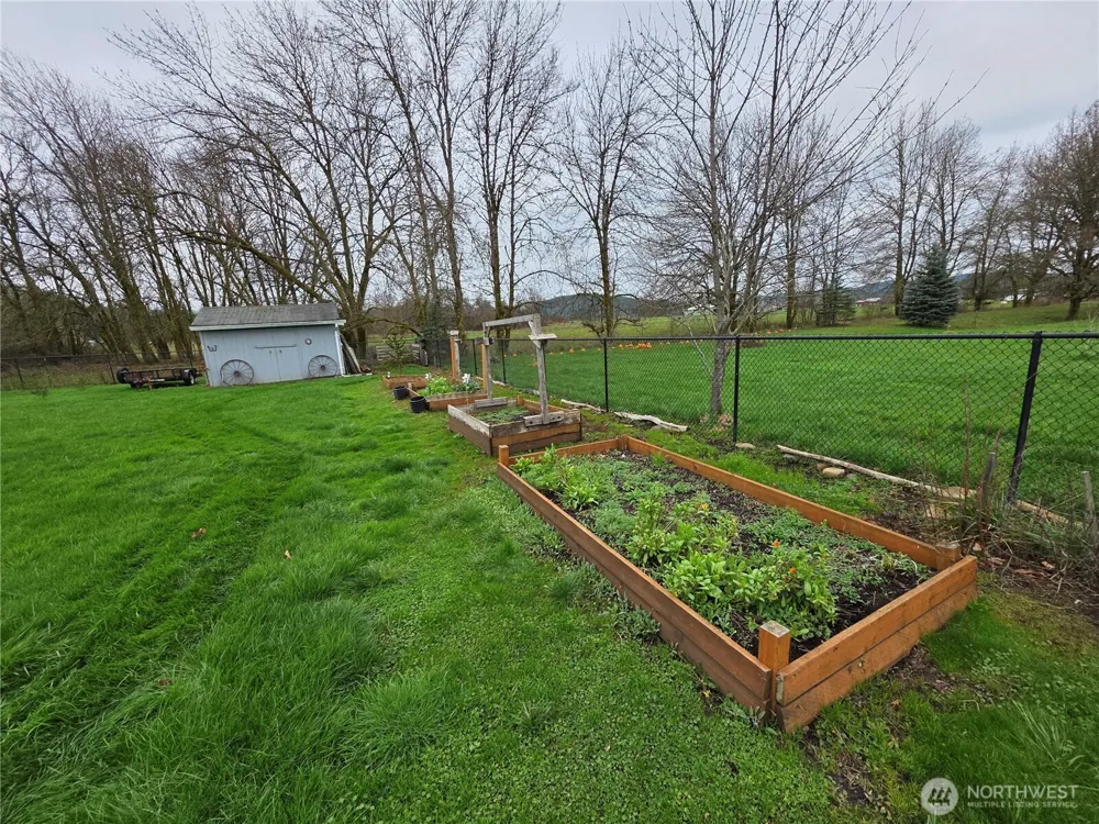 1294 Boistfort Road Curtis, WA 98532