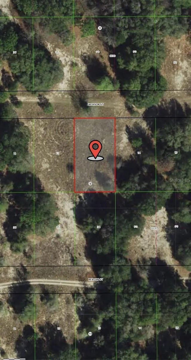2407 JACKSON STREET Inverness, FL 34453