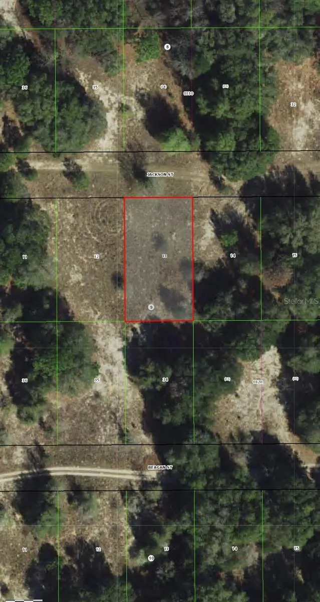 2407 JACKSON STREET Inverness, FL 34453