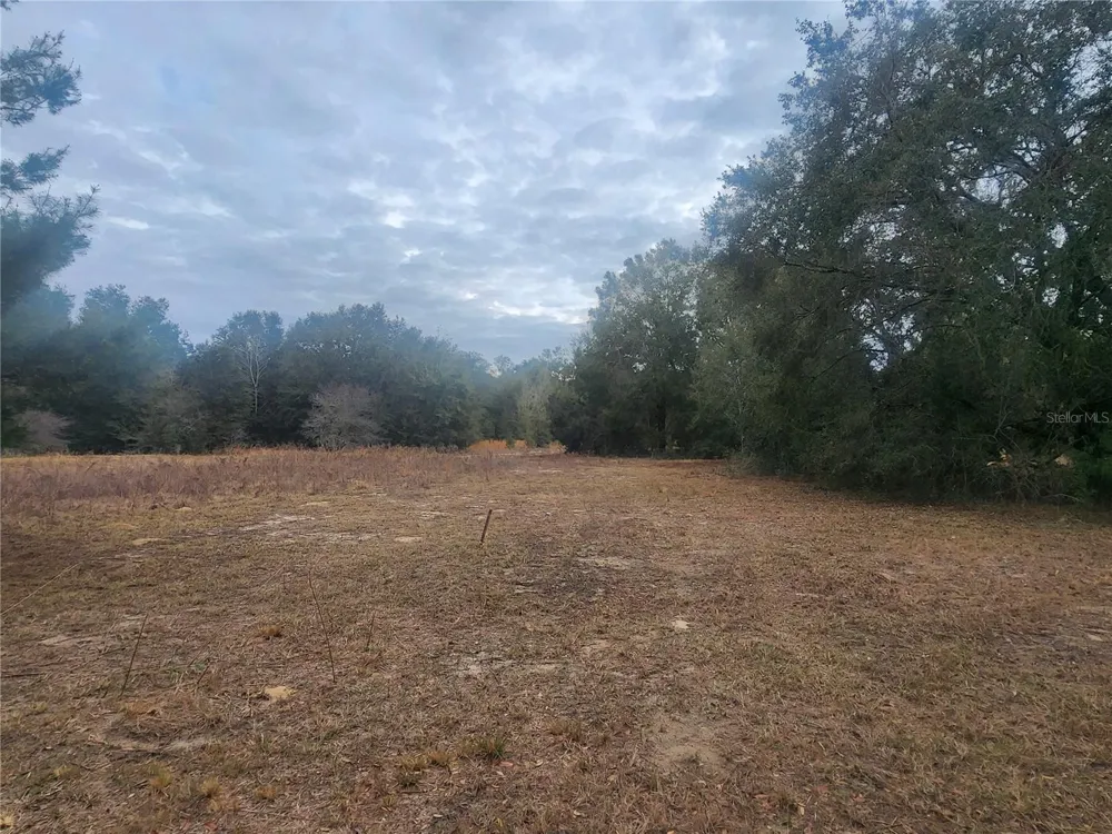 2407 JACKSON STREET Inverness, FL 34453