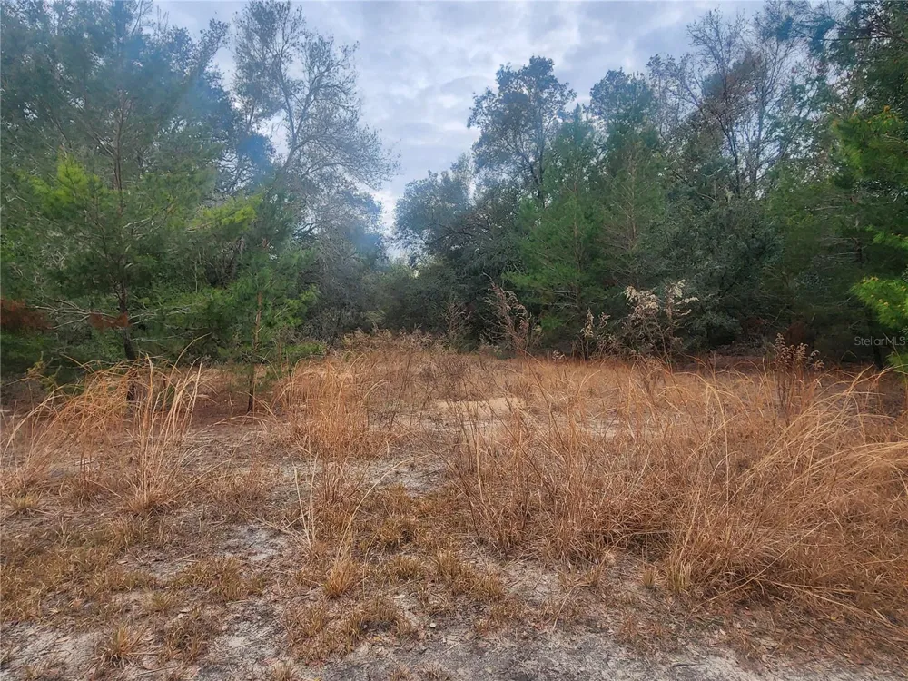 2407 JACKSON STREET Inverness, FL 34453