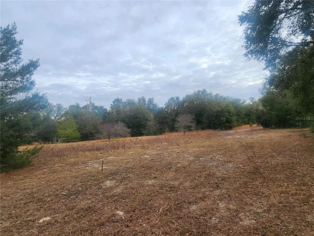 2407 JACKSON STREET Inverness, FL 34453