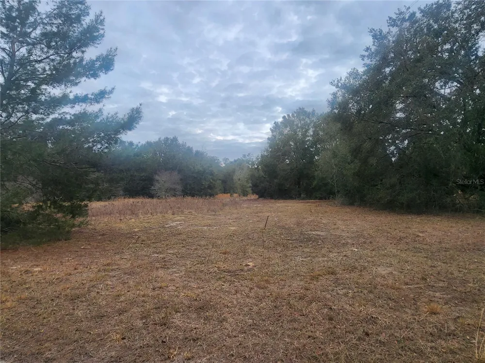2407 JACKSON STREET Inverness, FL 34453