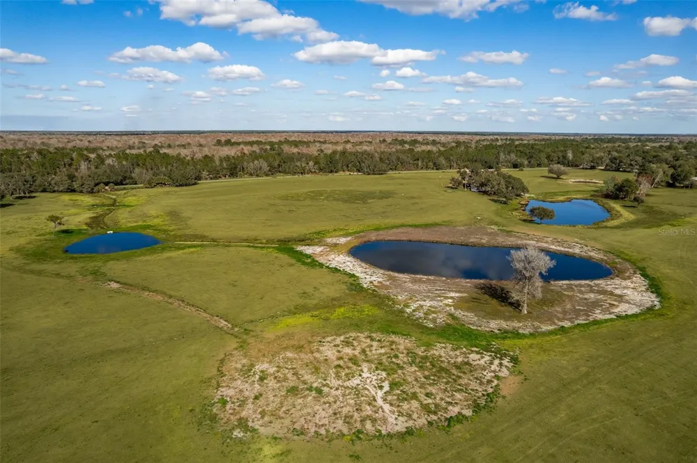 CYPRESS MILL ROAD Sorrento, FL 32776