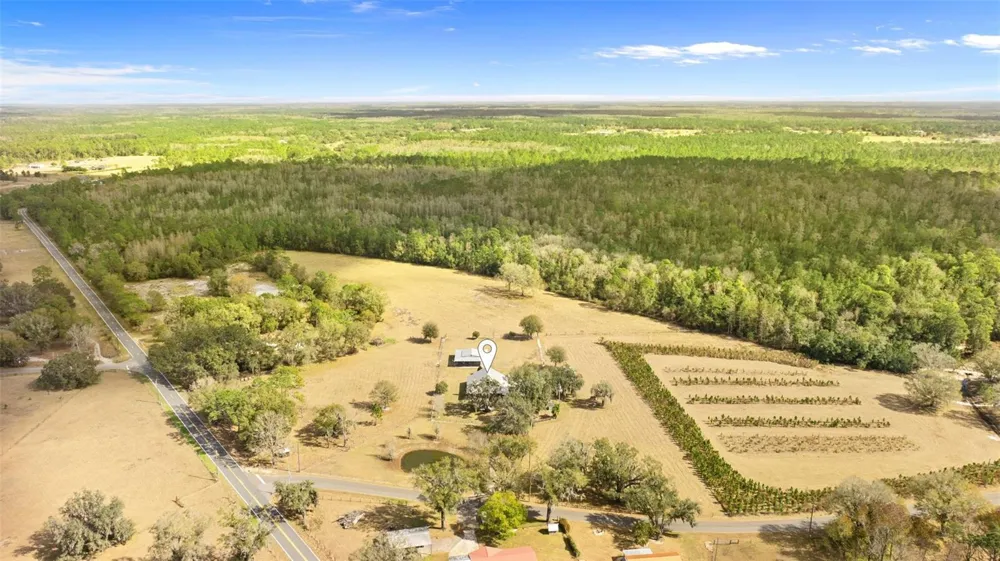 17620 POYNER ROAD Polk City, FL 33868
