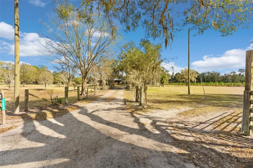 17620 POYNER ROAD Polk City, FL 33868