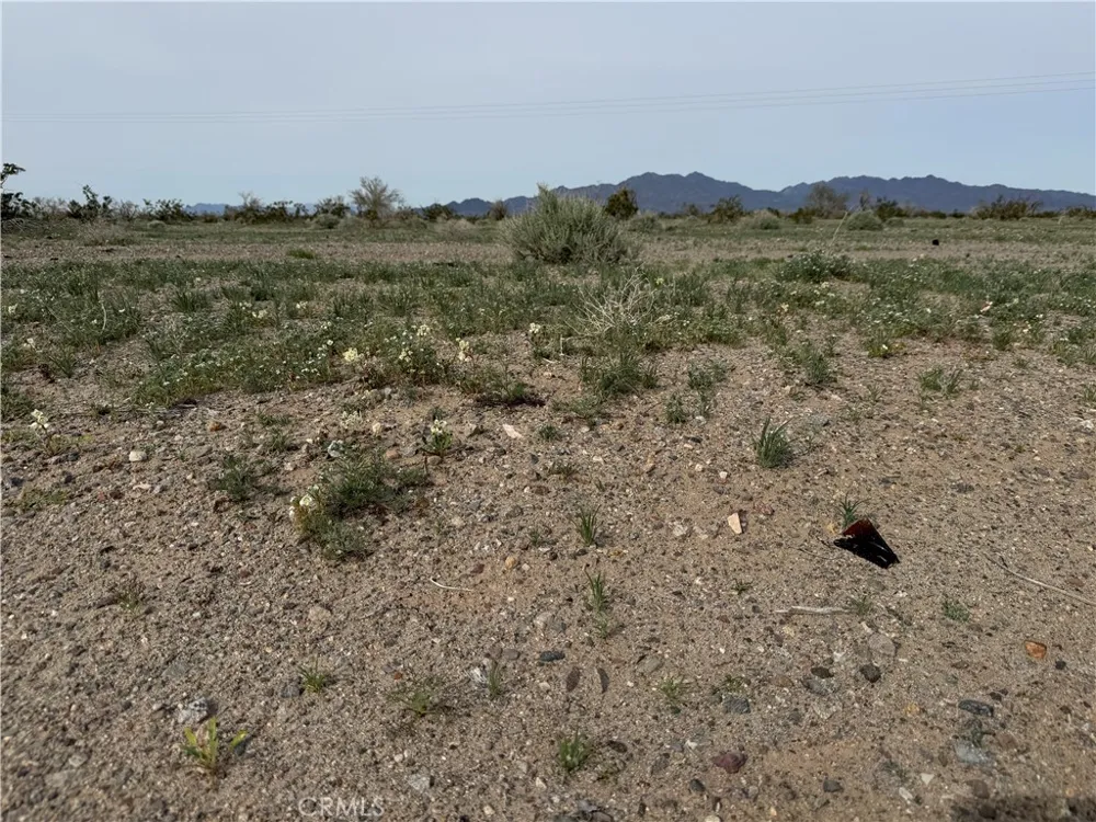 Chuckwalla Valley Rd. Blythe, CA 92225