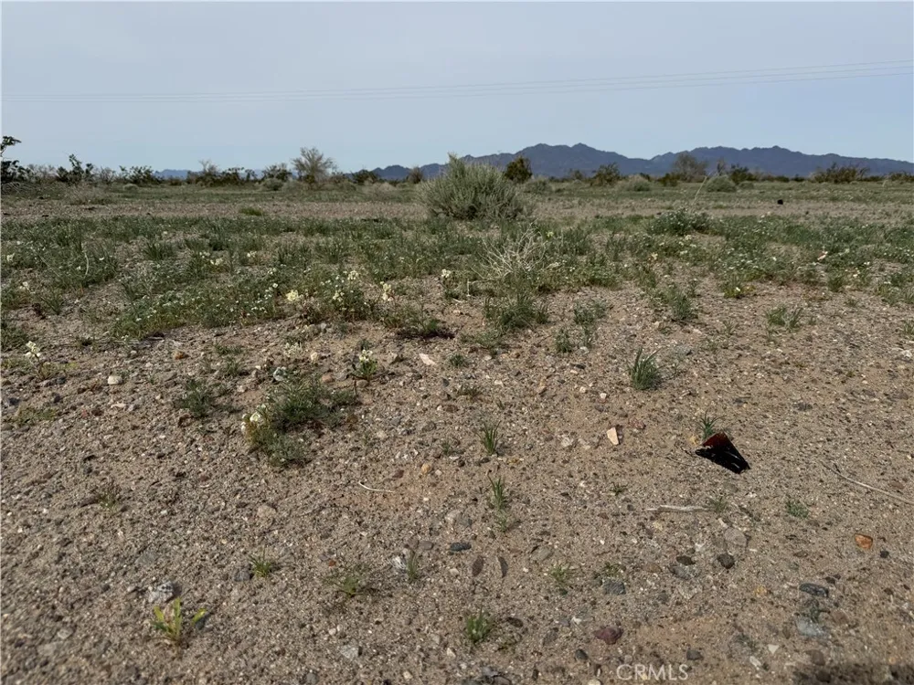 Chuckwalla Valley Rd. Blythe, CA 92225