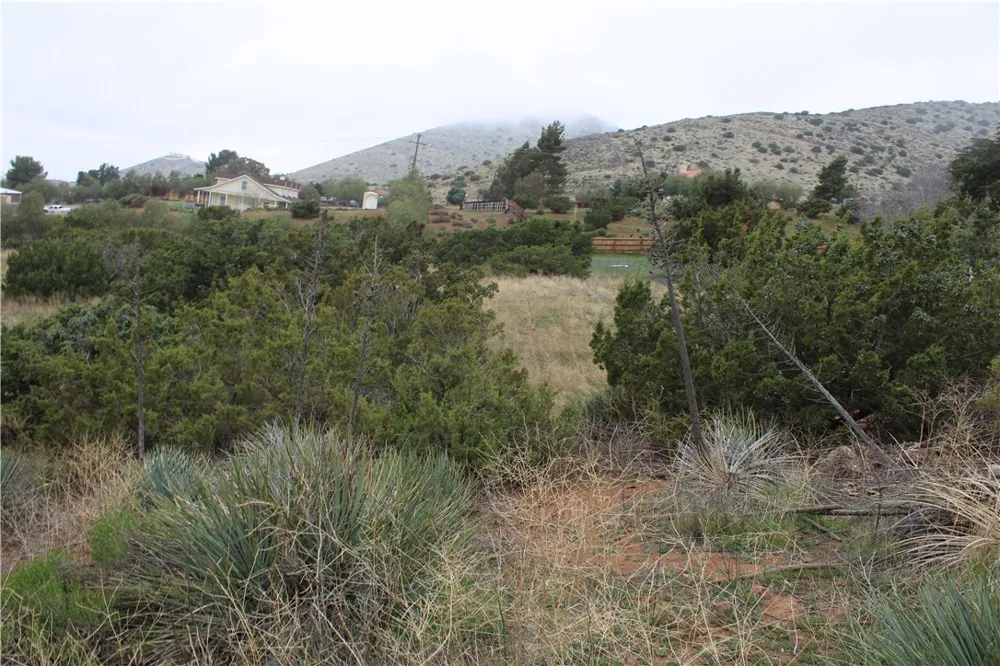 7600 Vac/Cor Valley Sage/Norcross Acton, CA 93510