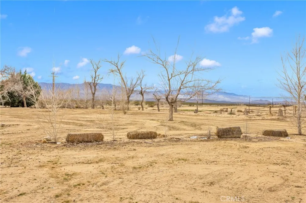 47424 Paddington Landers, CA 92285