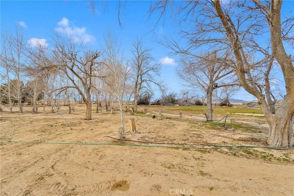 47424 Paddington Landers, CA 92285