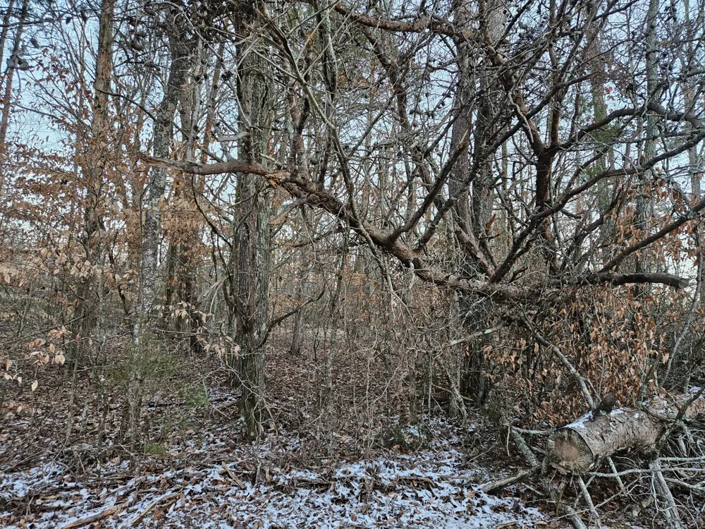 0 Pollard Cemetery Road Walling, TN 38587