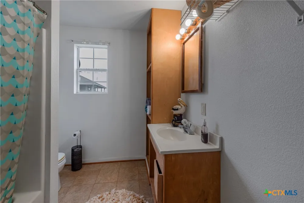 1725 CR 441d Brazoria, TX 77422