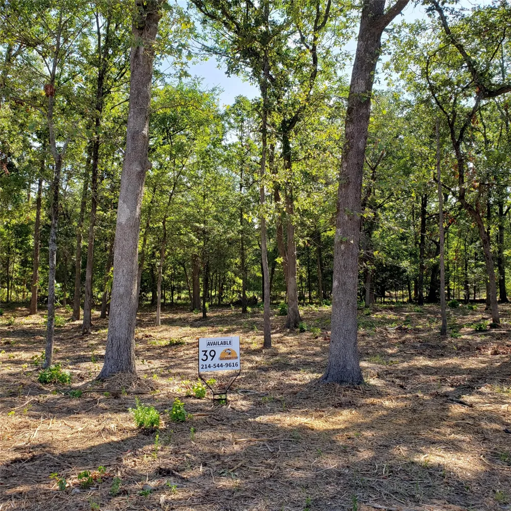 Fisherman's Bay Quitman, TX 75783