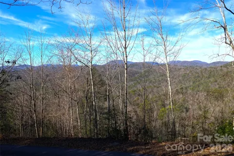 TBD Ruffed Grouse Road #L045