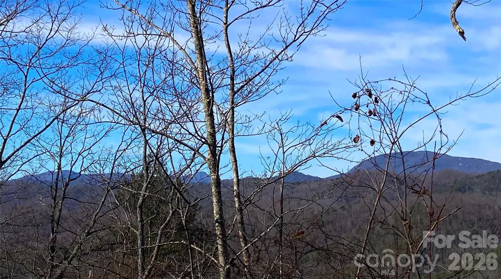 TBD Ruffed Grouse Road #L045 Brevard, NC 28712