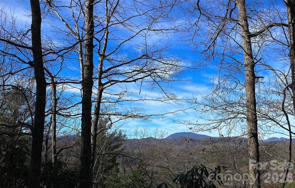 TBD Ruffed Grouse Road #L045 Brevard, NC 28712