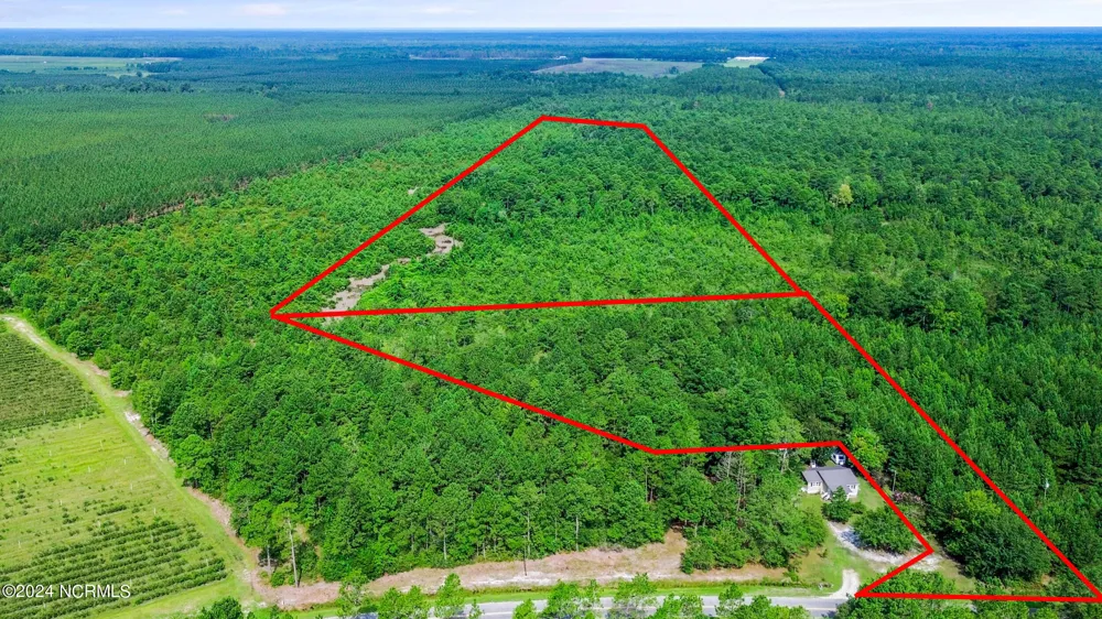 1 Lizzie Henry Road Ivanhoe, NC 28447