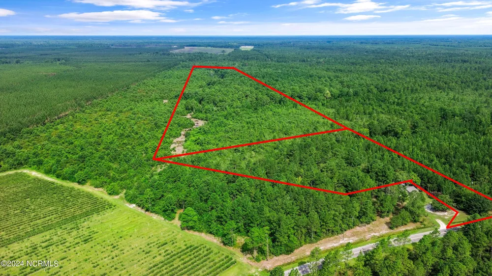 1 Lizzie Henry Road Ivanhoe, NC 28447