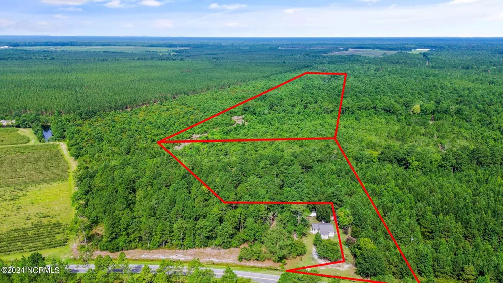 1 Lizzie Henry Road Ivanhoe, NC 28447