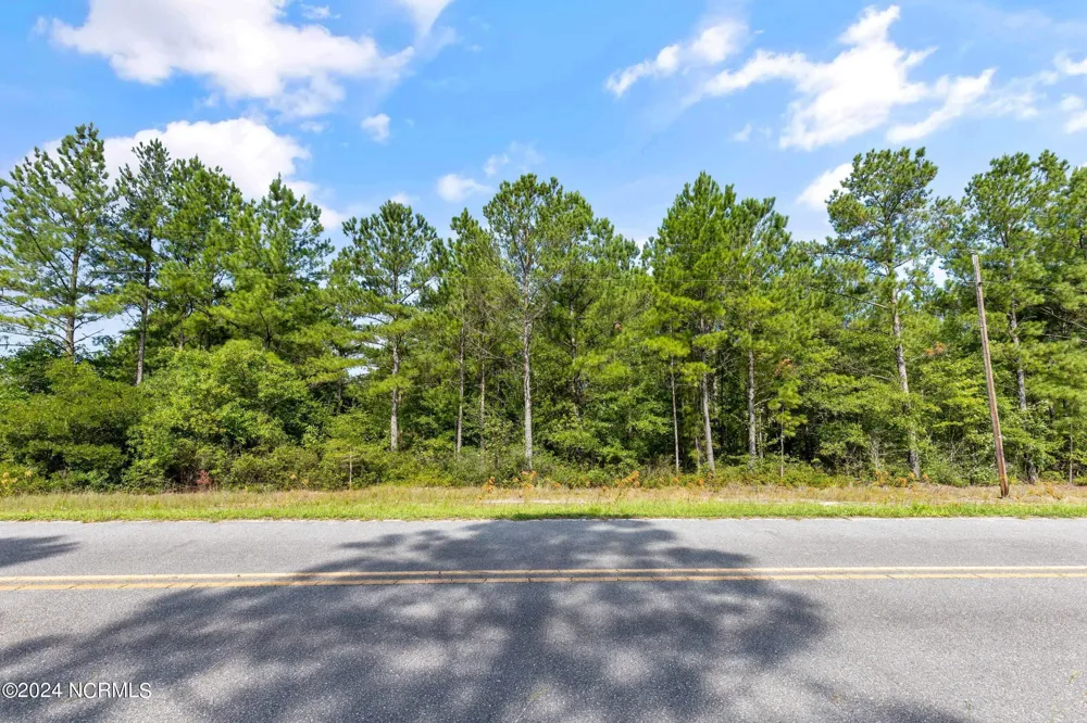 1 Lizzie Henry Road Ivanhoe, NC 28447