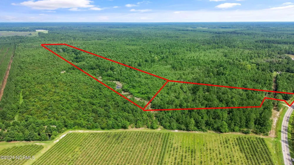 1 Lizzie Henry Road Ivanhoe, NC 28447