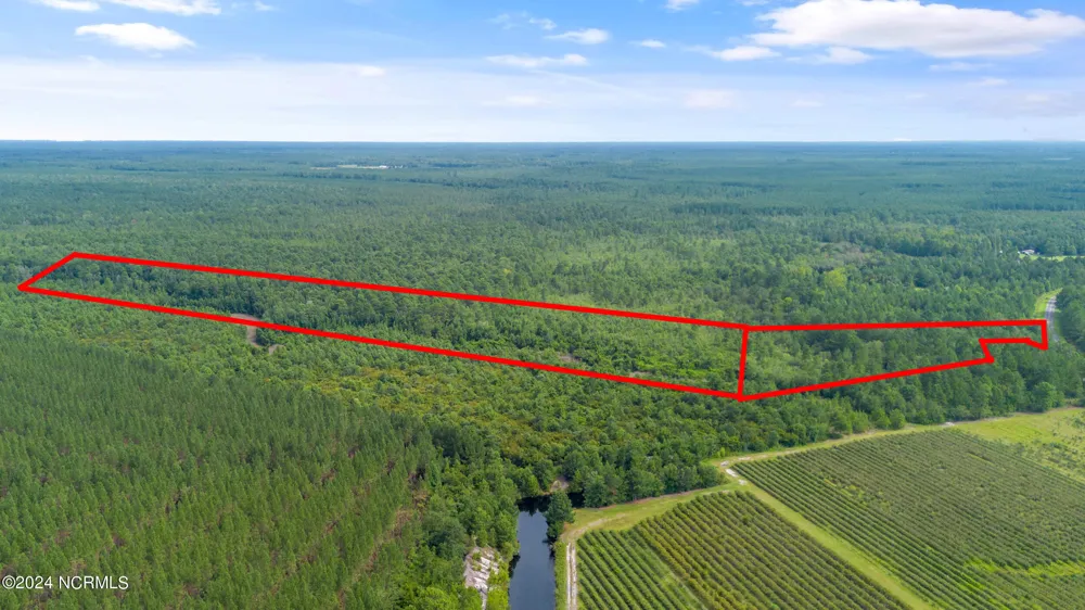 1 Lizzie Henry Road Ivanhoe, NC 28447