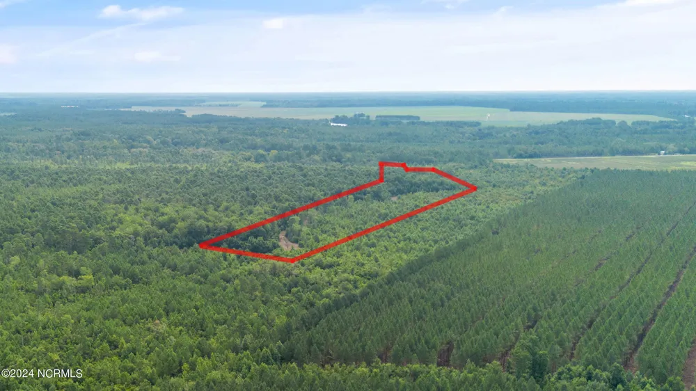 1 Lizzie Henry Road Ivanhoe, NC 28447