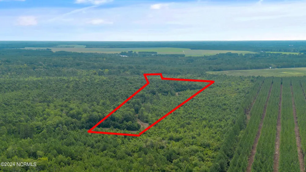 1 Lizzie Henry Road Ivanhoe, NC 28447