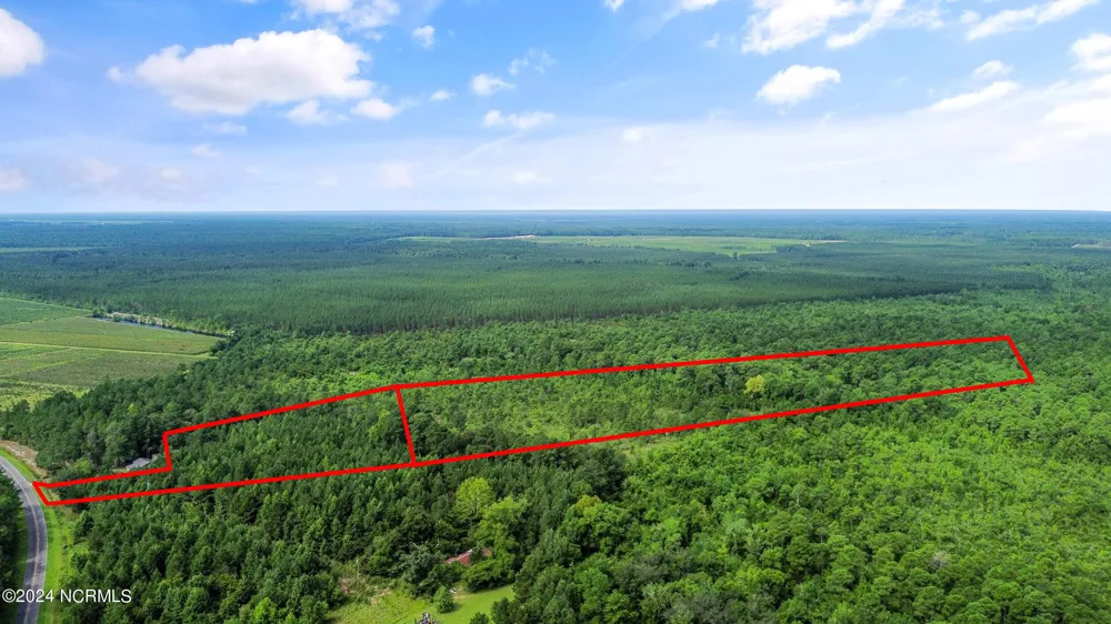 1 Lizzie Henry Road Ivanhoe, NC 28447