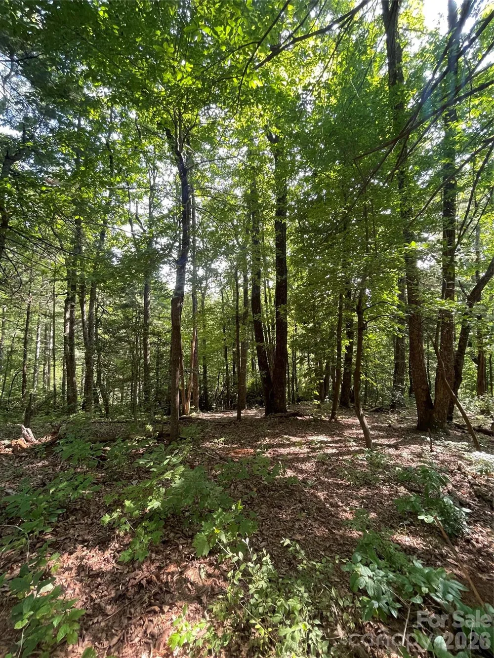 Lot # 21 Haverhill Court #21 Flat Rock, NC 28731