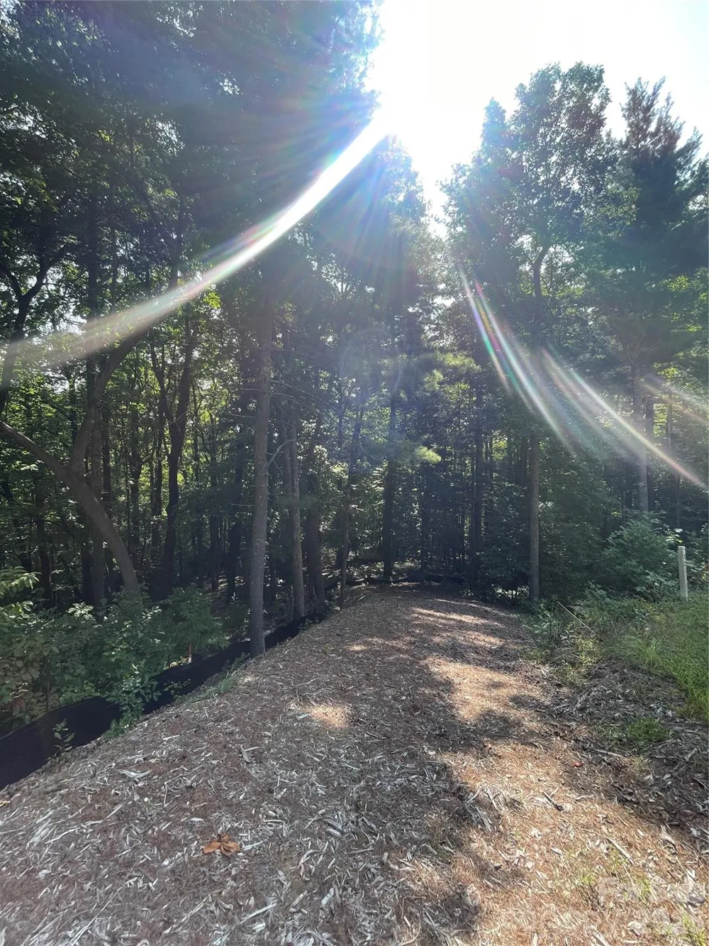 Lot # 21 Haverhill Court #21 Flat Rock, NC 28731