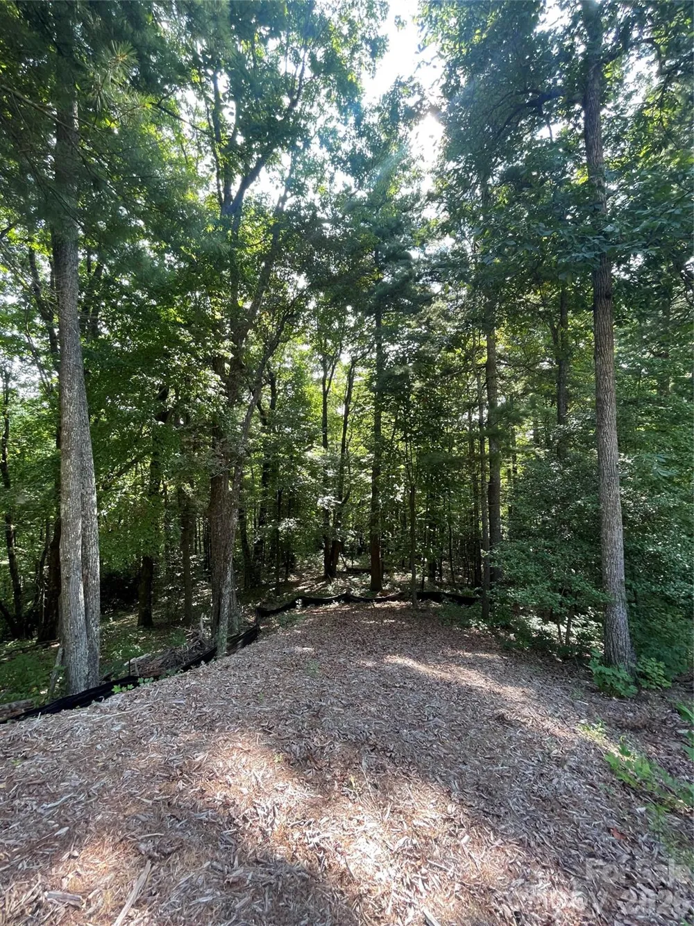 Lot # 21 Haverhill Court #21 Flat Rock, NC 28731