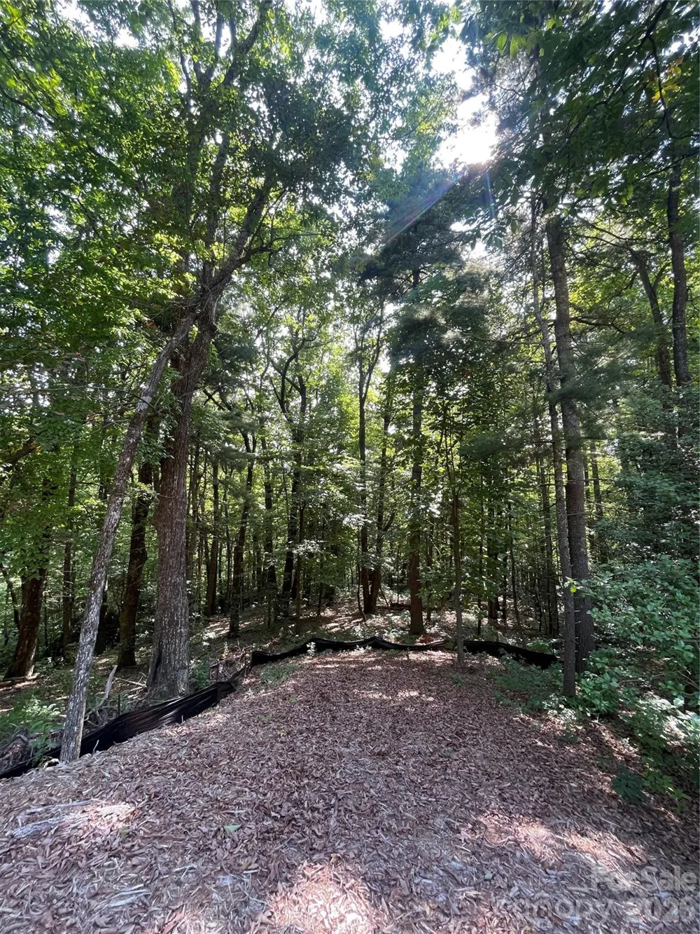Lot # 21 Haverhill Court #21 Flat Rock, NC 28731