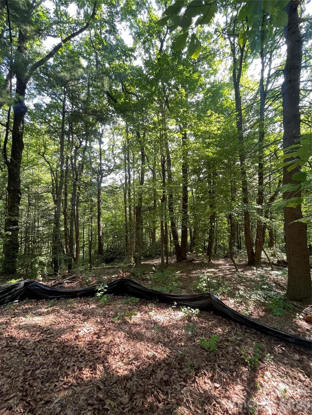 Lot # 21 Haverhill Court #21 Flat Rock, NC 28731