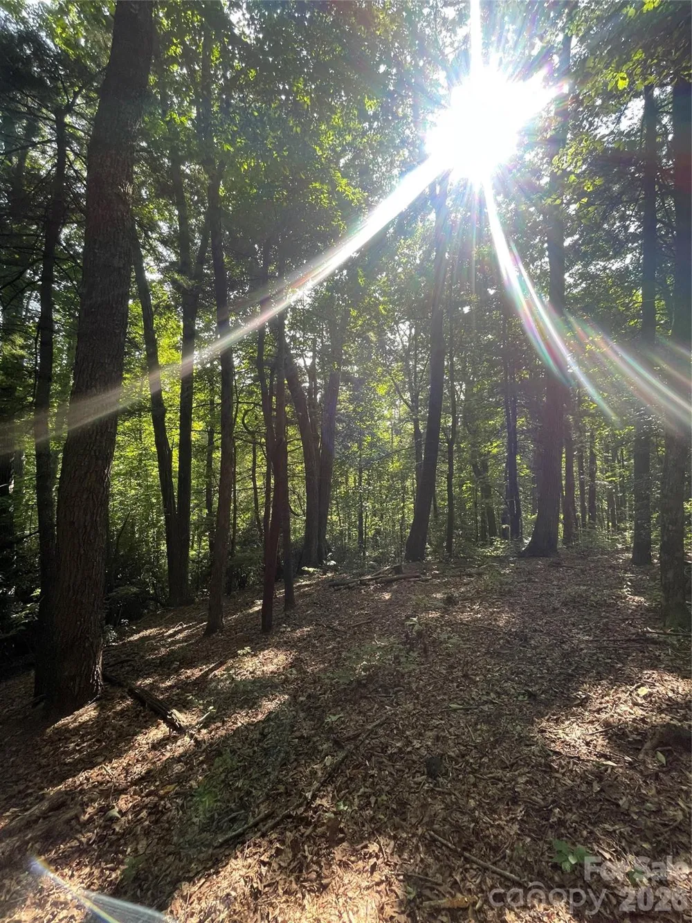 Lot # 21 Haverhill Court #21 Flat Rock, NC 28731